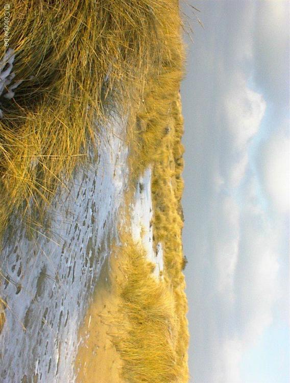 dunes 4