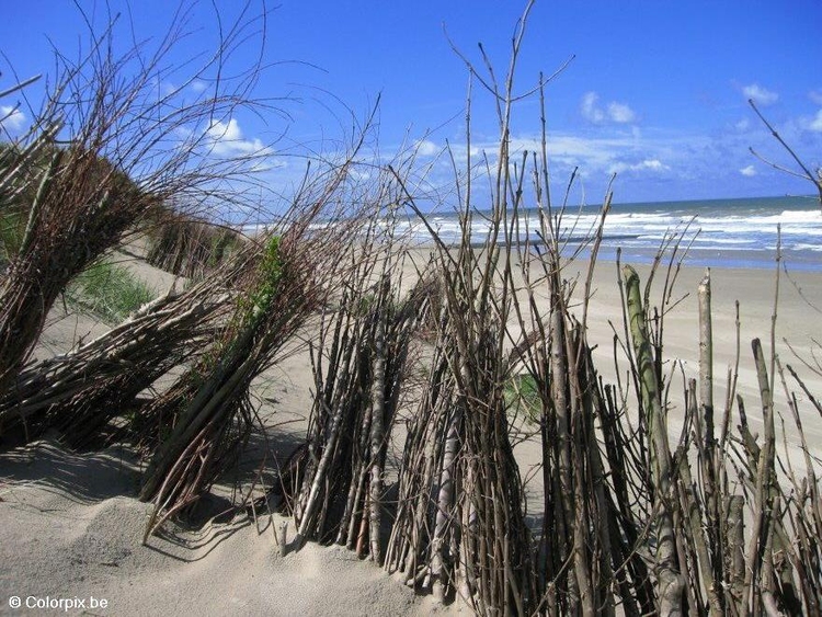 Photo dunes 7