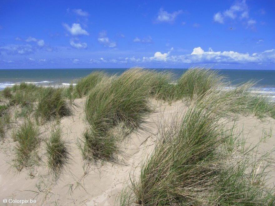 Photo dunes and sea