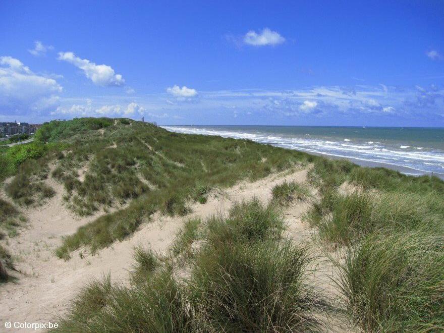 Photo dunes sea coast 1
