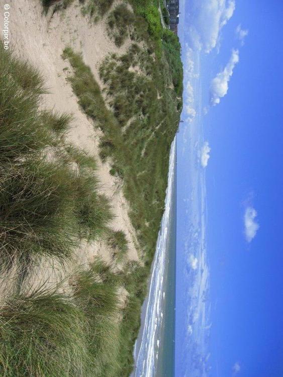 dunes sea coast 1