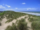 dunes sea coast 1