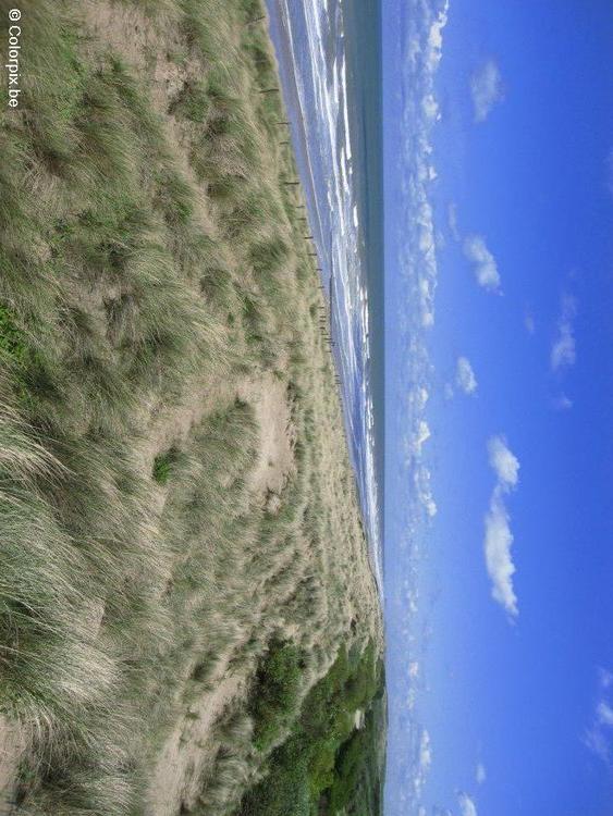 dunes sea coast