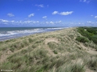 dunes sea coast