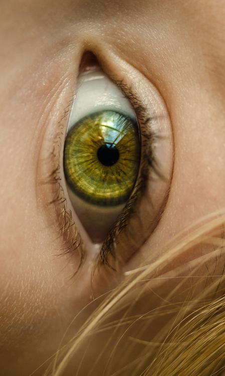 eye