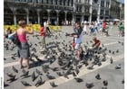feeding the pigeons at San Marco Square