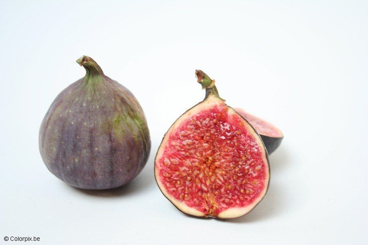 Photo figs