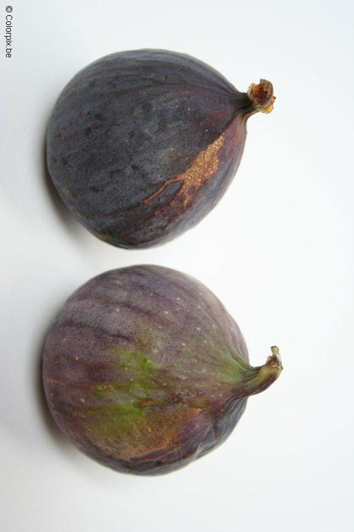 figs