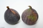 Photos figs