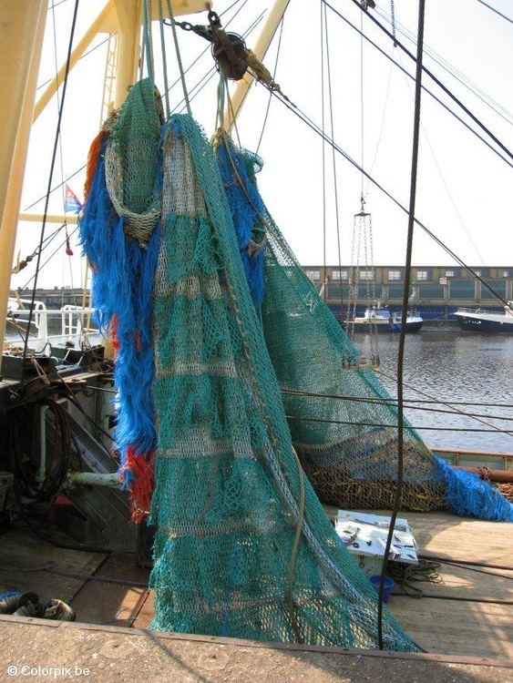 Photo fishing nets