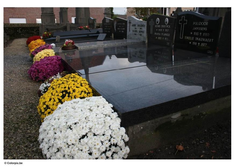 Photo flowers in graveyard