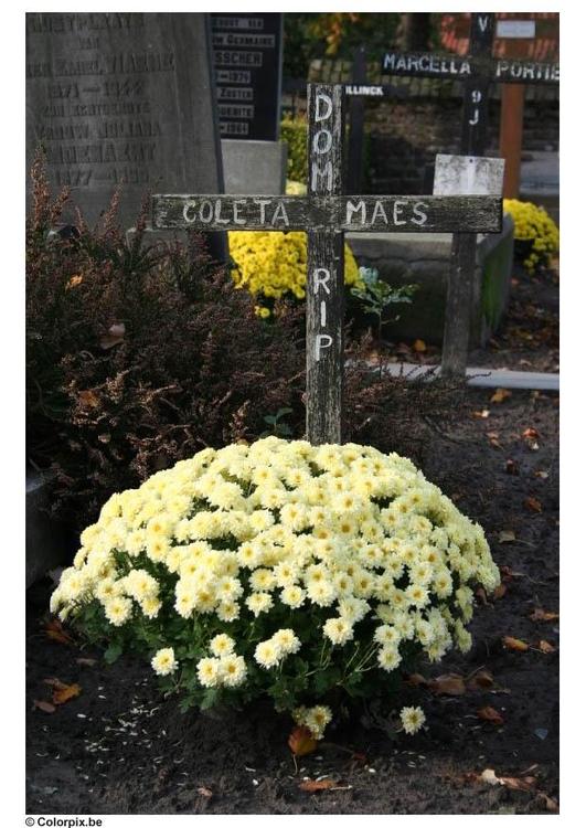 flowers in graveyard