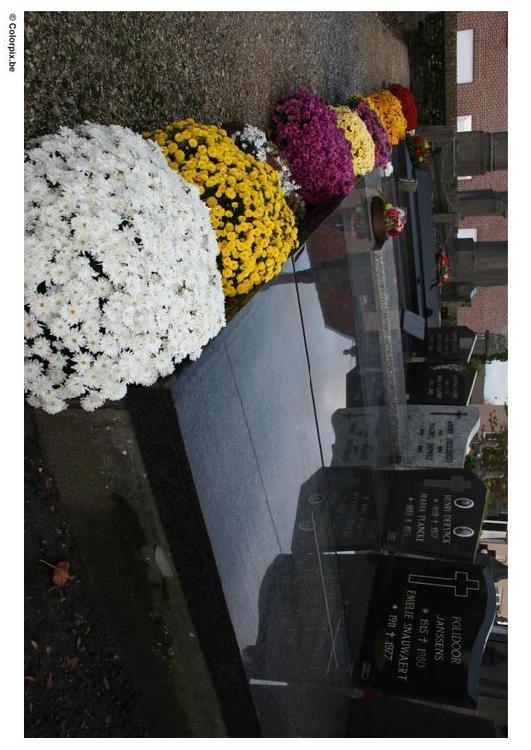 flowers in graveyard