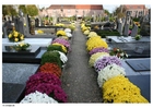 flowers in graveyard