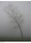 Photos fog