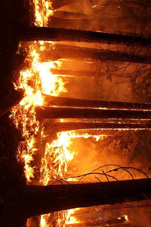 forest fire