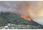 Photo forest fire