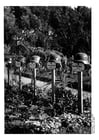 Photo German graves in North France