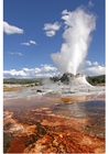 geyser eruption Yellowstone National Park