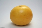 Photo grapefruit