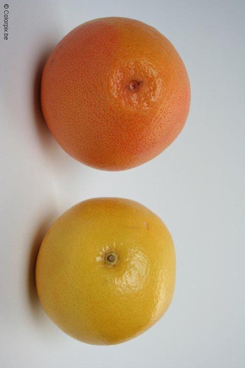 grapefruits