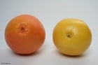 Photo grapefruits