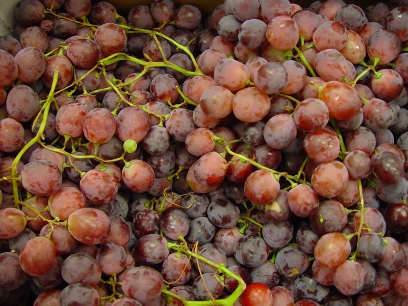 Photo grapes
