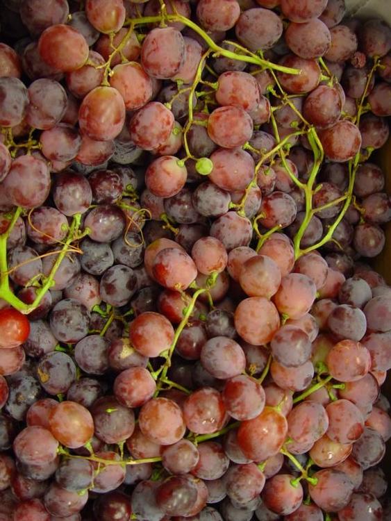 grapes