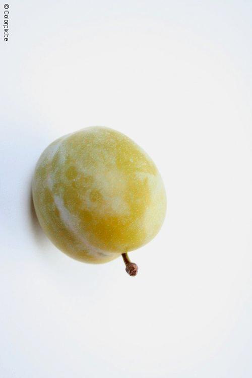 greengage plum