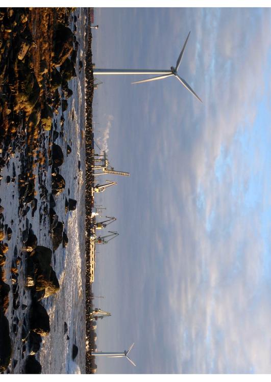 harbour with windmills