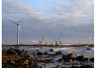 Photos harbour with windmills