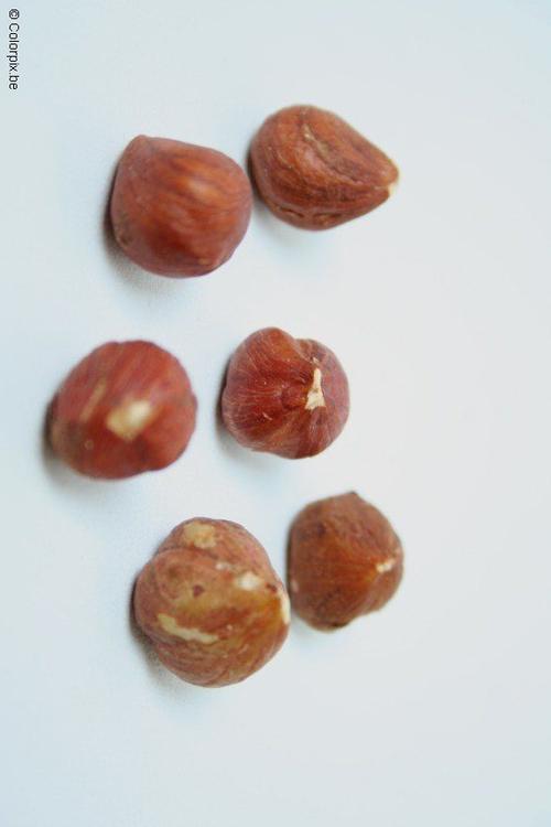 hazelnuts