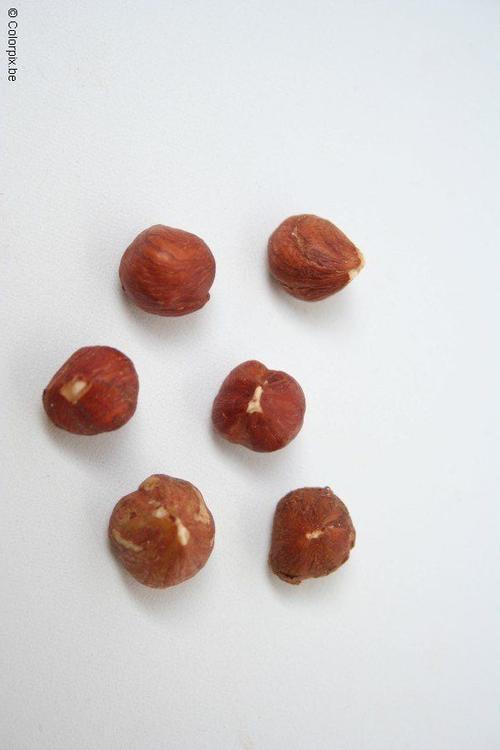 hazelnuts