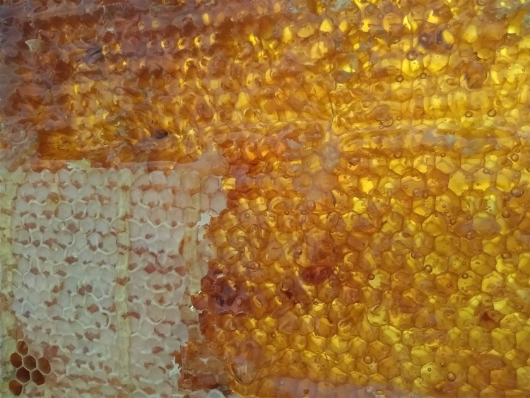 Photo honeycomb