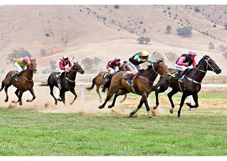 Photo horse race