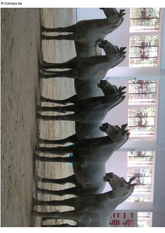 horse statues, Xian