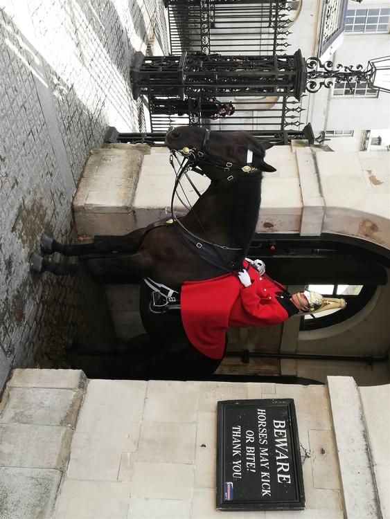 Household cavalry London