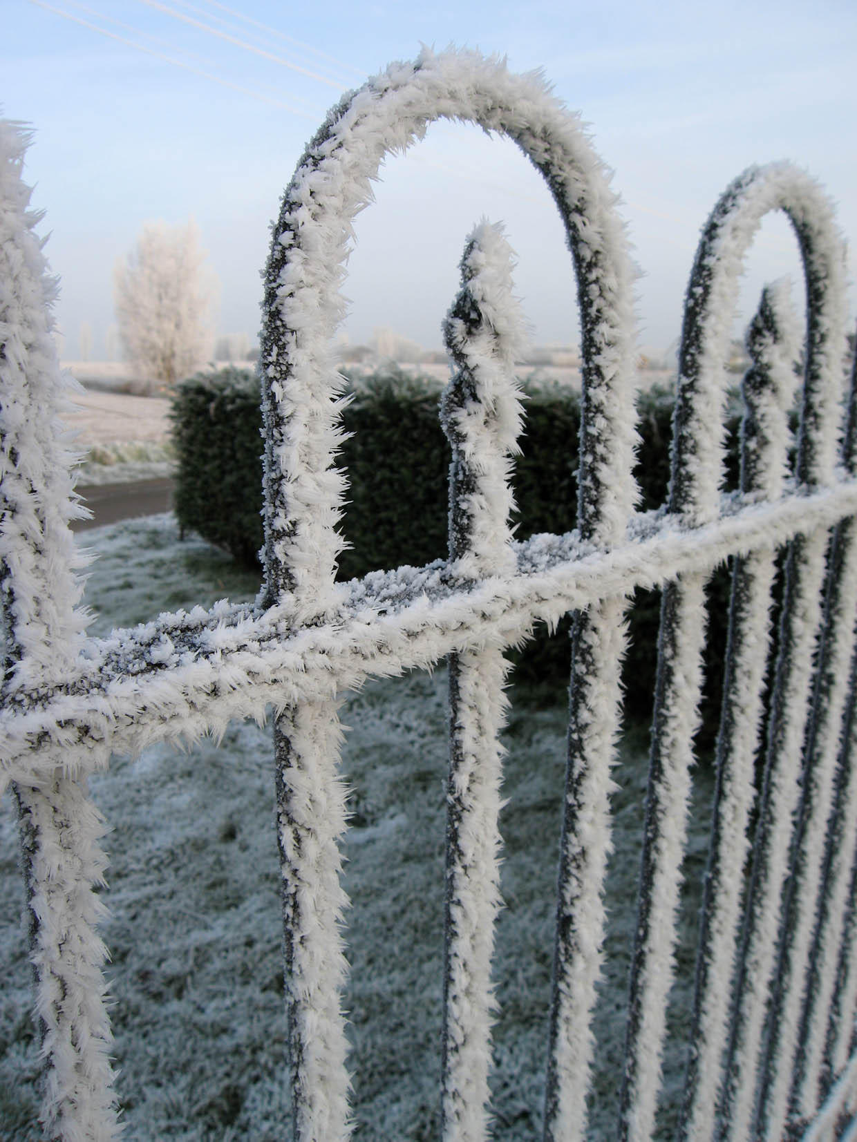 Photo icy fence