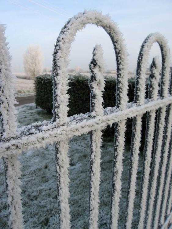 icy fence