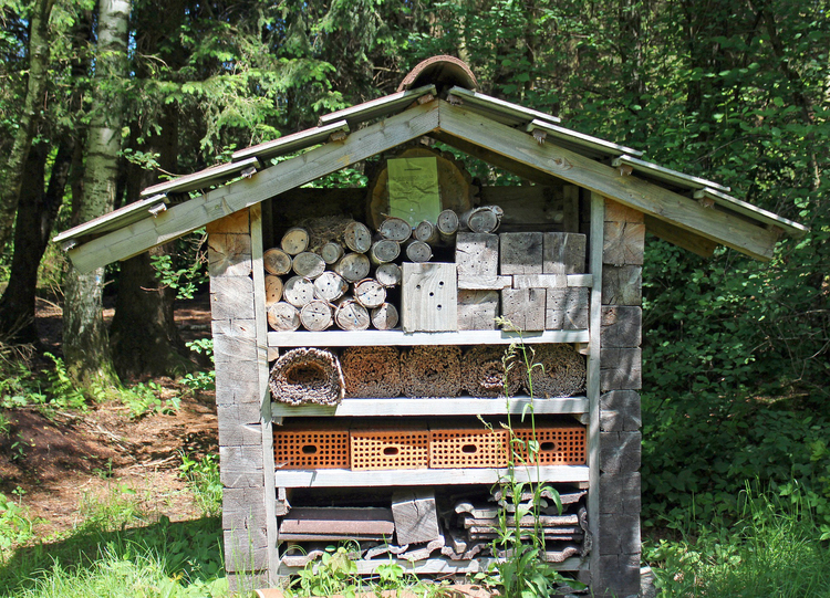 Photo insect hotel