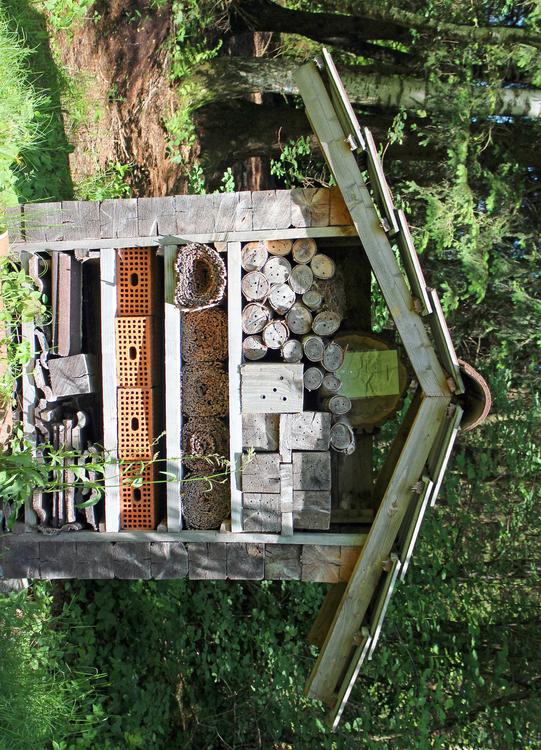 insect hotel