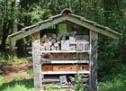 insect hotel