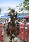 Photos jousting knight