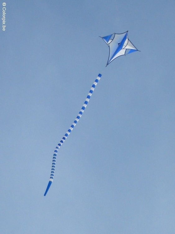 Photo kite
