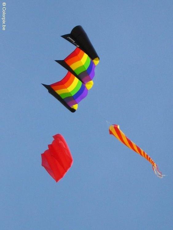 kites 2