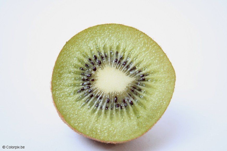 Photo kiwi