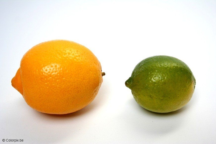 Photo lemon and lime