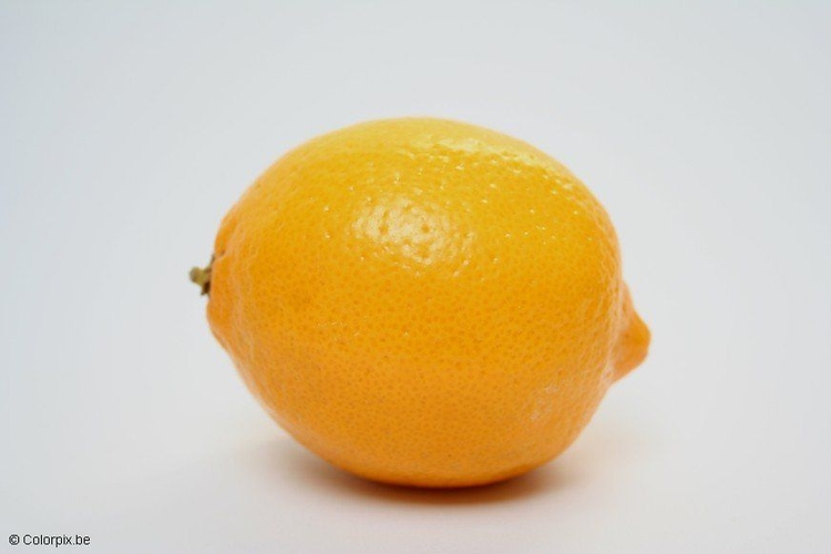 Photo lemon