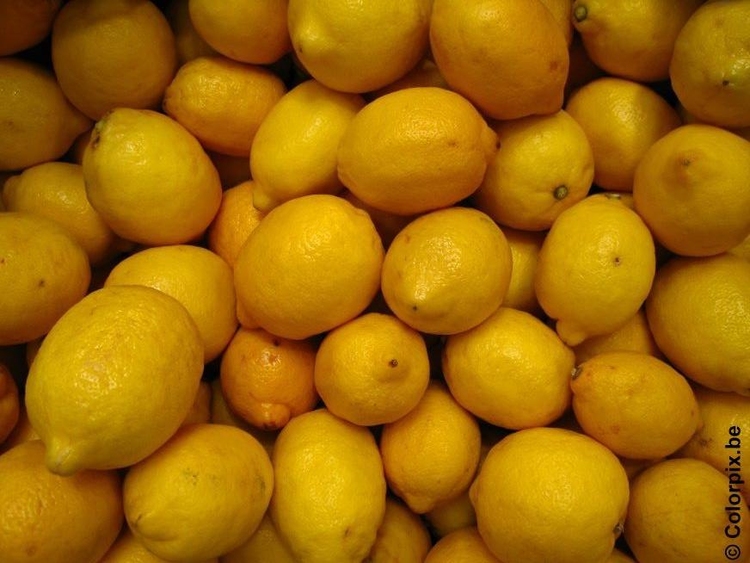 Photo lemons