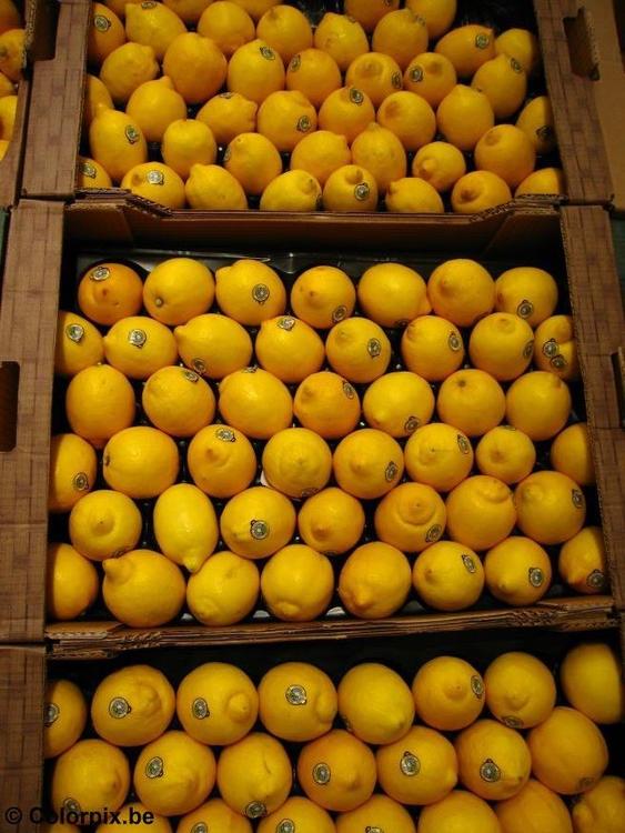 lemons